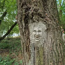 Danube Bicycle Trail - Dunakeszi