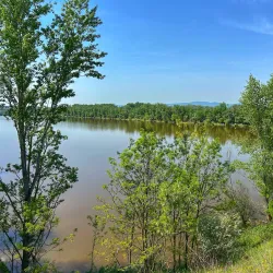 Dunakeszi Fishing Area - Dunakeszi