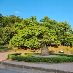 Valley of the Beautiful Women (Szépasszonyvölgy) - Eger