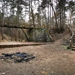 Godollo Forest Park - Godollo