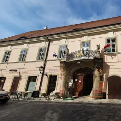 County Museum of Győr-Moson-Sopron - Gyor