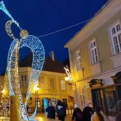County Museum of Győr-Moson-Sopron - Gyor