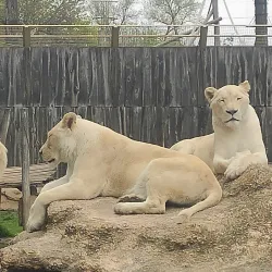 Xantus János Zoo - Gyor