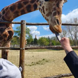 Xantus János Zoo - Gyor