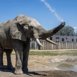 Xantus János Zoo - Gyor