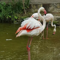 Xantus János Zoo - Gyor