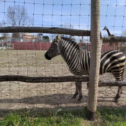 Xantus János Zoo - Gyor