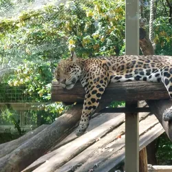 Xantus János Zoo - Gyor