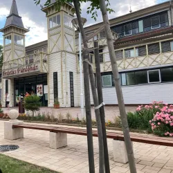 Heviz Thermal Lake - Heviz