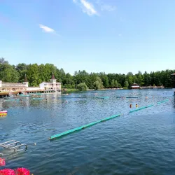 Heviz Thermal Lake - Heviz