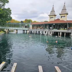 Heviz Thermal Lake - Heviz