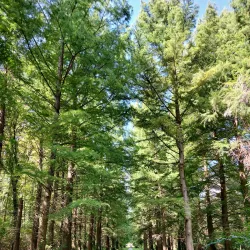 Hévíz Bicycle Path - Heviz