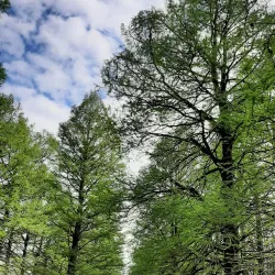 Hévíz Bicycle Path - Heviz