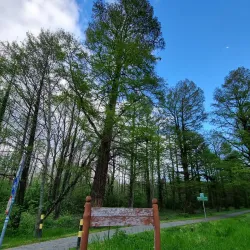 Hévíz Bicycle Path - Heviz