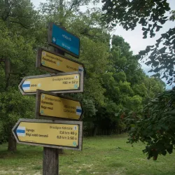 Hévíz Bicycle Path - Heviz