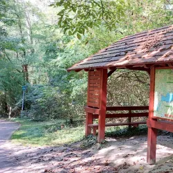 Hévíz Bicycle Path - Heviz