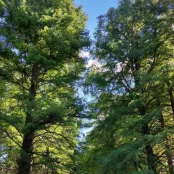 Hévíz Bicycle Path - Heviz