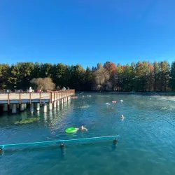 Tófürdő Park - Heviz