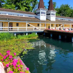 Tófürdő Park - Heviz