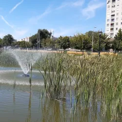 City Park (Városi Park) - Hodmezovasarhely (Hódmezővásárhely)