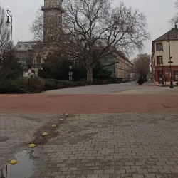 Hódmezővásárhely Town Hall - Hodmezovasarhely (Hódmezővásárhely)