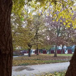 Kossuth Square - Hodmezovasarhely (Hódmezővásárhely)