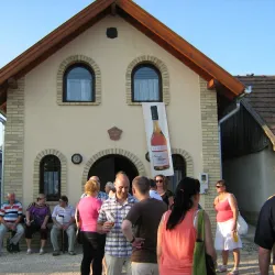 Vásárhelyi Pince (Wine Cellar) - Hodmezovasarhely (Hódmezővásárhely)
