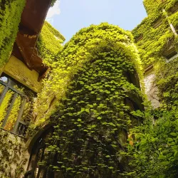 Cifrapalota (Ornamented House) - Kecskemet