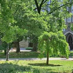 Főtér (Main Square) - Kecskemet