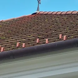 Kecskemét Synagogue - Kecskemet