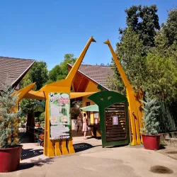 Kecskemét Zoo and Botanical Garden - Kecskemet