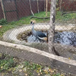 Kecskemét Zoo and Botanical Garden - Kecskemet