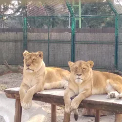 Kecskemét Zoo and Botanical Garden - Kecskemet