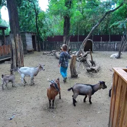 Kecskemét Zoo and Botanical Garden - Kecskemet