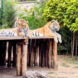 Kecskemét Zoo and Botanical Garden - Kecskemet