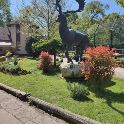 Kecskemét Zoo and Botanical Garden - Kecskemet