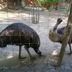 Kecskemét Zoo and Botanical Garden - Kecskemet