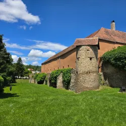 Jurassic Museum - Koszeg