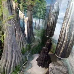 Herman Ottó Museum - Miskolc