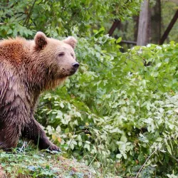 Miskolc Zoo and Cultural Park - Miskolc