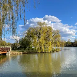 Sóstó Forest and Lake - Nyiregyhaza