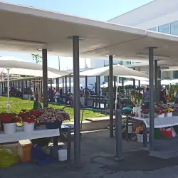 Pécs Market Hall - Pecs