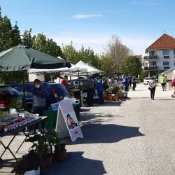 Local Markets and Artisan Shops - Pomáz