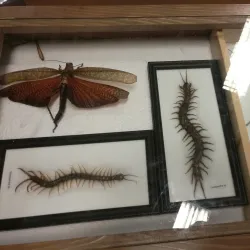 Pomáz Cultural Center - Pomáz