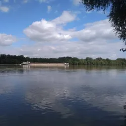 Danube Riverbank near Érd - Érd
