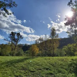 Danube Riverbank near Érd - Érd