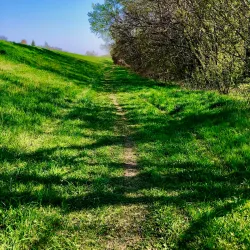 Danube Riverbank near Érd - Érd