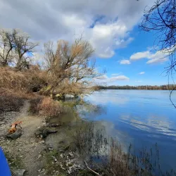 Danube Riverbank near Érd - Érd