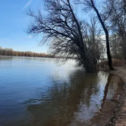 Danube Riverbank near Érd - Érd