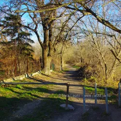 Danube Riverbank near Érd - Érd